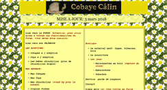 Desktop Screenshot of cobaye-calin.com