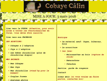 Tablet Screenshot of cobaye-calin.com